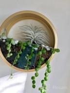 img 1 attached to Ecosides Round Indoor Wall Succulent Hanging Planter, Metal Decorative Freestanding Mount Holder With Glass For Air Plants, Faux Flower,Set Of 3 (Black) review by Mark Caperton