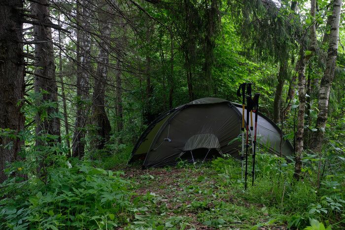 img 1 attached to Fjallraven Dome Tent Pine Green review by Erica Bvb ᠌