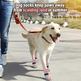 img 2 attached to 🐾 BEAUTYZOO Anti-Slip Dog Socks: Grips for Traction Control on Hardwood Floors