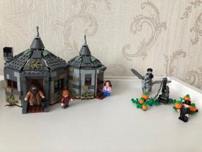 img 13 attached to LEGO Harry Potter 75947 Hagrid's Hut: Buckbeak's Rescue, 496 children