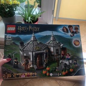 img 12 attached to LEGO Harry Potter 75947 Hagrid's Hut: Buckbeak's Rescue, 496 children