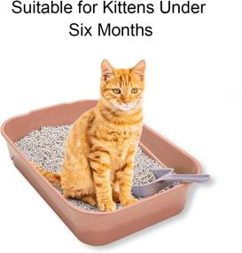 img 3 attached to 🐾 Small Cat Litter Box Starter Kit - Open Litter Pan, Mat, Scoop, and Bowl for Kittens up to 3 Months Old