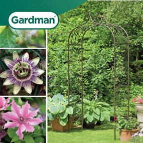 img 3 attached to Copper Versaille Arch For Stunning Garden Décor: Gardman 8241