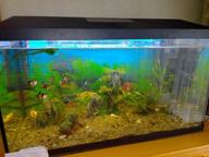 img 2 attached to Aquarium AQUAEL LEDDY SET PLUS DAY & NIGHT 2.0 75 black (105 l) review by Anna Suszter ᠌