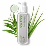 baebody tea tree cleansing gel: многофункциональное средство для умывания лица, очищающее, тонизирующее, успокаивающее и борющееся с признаками старения логотип