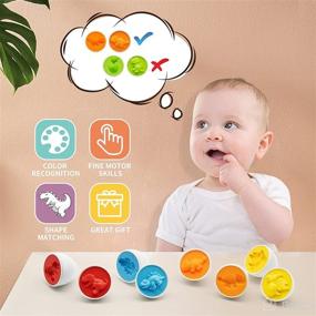 img 2 attached to 🥚 MOONTOY Matching Eggs Toy for Toddlers with Holder - 12PCS Dinosaur Color Shape Match Toy - Kid Play Sorting Egg Puzzle Sorter Game - STEM Educational Easter Gift for 12-18 Month 1-3 Year Old Baby Boys and Girls