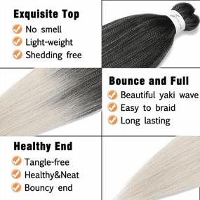 img 1 attached to Gray Ombre Braiding Hair Pre-Stretched 14 Inch, Yaki Texture, Hot Water Setting, Easy To Install Professional Synthetic Hair Extensions - 8 Packs In 1B/Silver,