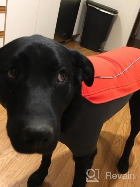 img 1 attached to RUFFWEAR Cloud Chaser Waterproof Insulated Jacket For Dogs - Obsidian Black, Large review by Marcel Snoddy