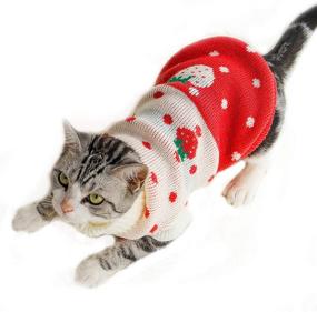 img 4 attached to 🍓 Winter Warm Pet Clothes – Red Strawberry Cat Sweater Knitwear, Turtleneck Dog Sweaters for Kittens and Puppies (Size 10)