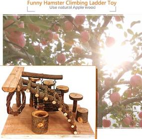 img 2 attached to 🐹 Premium Tfwadmx Wooden Hamster Playground: Climbing Bridge, Ladder Ramps & More for Enriching Small Animals' Activities