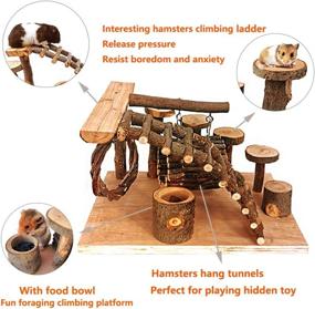 img 3 attached to 🐹 Premium Tfwadmx Wooden Hamster Playground: Climbing Bridge, Ladder Ramps & More for Enriching Small Animals' Activities