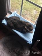 img 1 attached to Sturdy And Safe Window Cat Hammock With Heavy Duty Suction Cups For Resting And Perching, Holds Up To 30Lbs, Plus 2 Extra Suction Cups Included - NOYAL review by Jim Kriegshauser