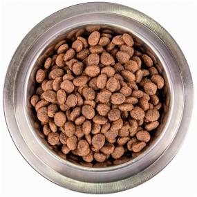 img 3 attached to Dry dog ​​food Monge BWILD Feed the Instinct Low Grain, wild boar 1 pack. x 1 pc. x 2.5 kg