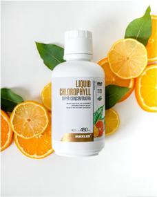 img 2 attached to MAXLER Liquid Chlorophyll Super Concentrated фл., 450 мл, цитрусовый