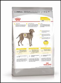 img 2 attached to Dry food Royal Canin Maxi Dermacomfort for adult dogs of large size (25 to 45 kg), with irritation and itching of the skin associated with hypersensitivity, from 15 months to 8 years, 3 kg