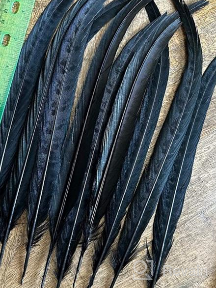 img 1 attached to Pack Of 20 Natural Pheasant Tail Feathers - Ideal For Crafts, Decorations, And Costumes - 10-12 Inch Length - Perfect For Festival Parties, Christmas Ornaments, And Hat Accessories review by Wendy Harris