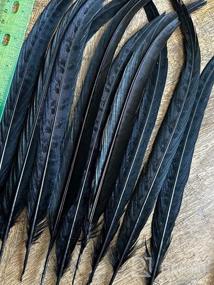 img 4 attached to Pack Of 20 Natural Pheasant Tail Feathers - Ideal For Crafts, Decorations, And Costumes - 10-12 Inch Length - Perfect For Festival Parties, Christmas Ornaments, And Hat Accessories