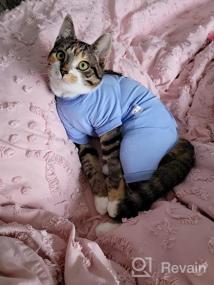 img 8 attached to Professional Cat Surgical Recovery Suit: Anti-Licking, Skin Disease Protection & Abdominal Wound Care For Male/Female Dogs