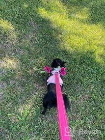 img 6 attached to Taglory Nylon Dog Leash 6Ft, Soft Padded Handle Pet Reflective Leashes For Medium Large Dogs Walking & Training, Hot Pink