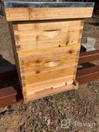 img 1 attached to Complete 8 Frame Beehive Kit With Fully-Coated Beeswax Frames And Foundation Sheet (2-Layer) For Optimal Beekeeping Performance review by Kevin Huot