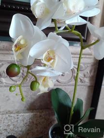 img 5 attached to Реалистичная белая орхидея U'Artlines в горшке для потрясающего домашнего декора, офисного или праздничного стола (маленький)