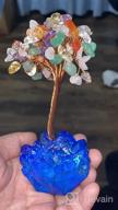 img 1 attached to Rose Quartz Crystal Bonsai Money Tree With Fluorite Base For Wealth And Luck review by Kathy Miller