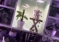 img 1 attached to Full Spectrum LED Grow Lights For Indoor Plants - POTEY 2 Heads, Height Adjustable With Auto On/Off Timer & 5 Dimmable Brightness Settings. review by Chris Jens