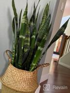 img 1 attached to Small Seagrass Belly Basket By BlueMake - Perfect For Storage, Plant Pot, Laundry, Picnic & Grocery! review by Dion Jeep
