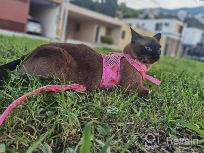 img 1 attached to Adjustable Escape Proof Cat Harness And Leash Set By PUPTECK - Breathable Soft Mesh Vest For Small And Medium Kittens, Ideal For Outdoors With Reflective Strips review by Betty Tucker