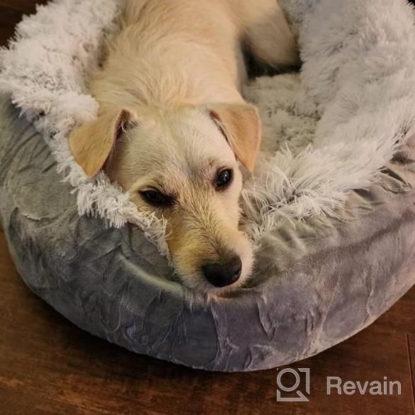 img 1 attached to Grey Anti-Anxiety Donut Dog Bed For Small Medium Dogs - Calming Pet Cuddler Bed With Soft Plush Faux Fur, Machine Washable And Anti-Slip Bottom By JOEJOY review by Jose Hughes