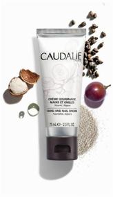 img 2 attached to Caudalie Cream for hands and nails Exquisite, 75 ml