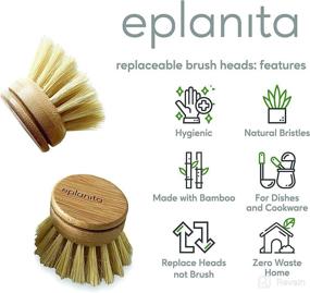 img 4 attached to 🌿 Eplanita Replacement Brush Heads for Bamboo Dish Brush: Sisal Bristle Refills, Agave Cactus Fibres - Eco-friendly Kitchen Scrubber for Plastic-Free Washing Up and Zero Waste Cleaning (2 Pack)