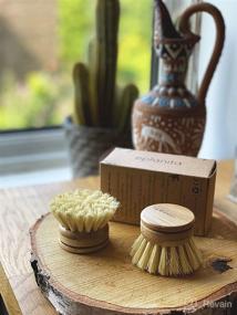 img 2 attached to 🌿 Eplanita Replacement Brush Heads for Bamboo Dish Brush: Sisal Bristle Refills, Agave Cactus Fibres - Eco-friendly Kitchen Scrubber for Plastic-Free Washing Up and Zero Waste Cleaning (2 Pack)