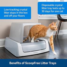 img 2 attached to 🐈 Optimized PetSafe ScoopFree Crystal Cat Litter Tray Refills - 3-Pack & 6-Pack - All Scents, Premium Blue, Lavender, Sensitive - Designed for ScoopFree Self-Cleaning Cat Litter Boxes - Non-Clumping, Minimized Mess and Odor