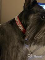 img 1 attached to Shine Bright With Didog'S Diamond-Encrusted Dog Collar For XS & Small Dogs! review by Rodney Nelson