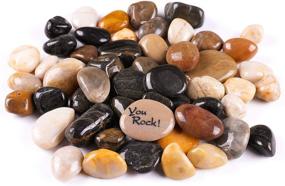 img 4 attached to 5.5lb Polished Decorative Rocks for Planters, Vases, Terrariums - Multicolor River Rock Pebbles for Landscaping, Aquarium Fish Tanks. Size range: 3/4” to 1-1/4” by ROCKIMPACT
