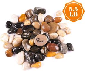 img 3 attached to 5.5lb Polished Decorative Rocks for Planters, Vases, Terrariums - Multicolor River Rock Pebbles for Landscaping, Aquarium Fish Tanks. Size range: 3/4” to 1-1/4” by ROCKIMPACT