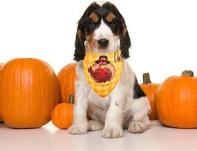 img 2 attached to Thanksgiving Bandanas Pumpkin Triangle Washable