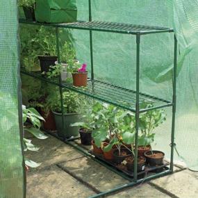 img 2 attached to Gardman 7622 Walk-In Greenhouse: Superior Shelving, Size 75" L x 49" W x 75" H