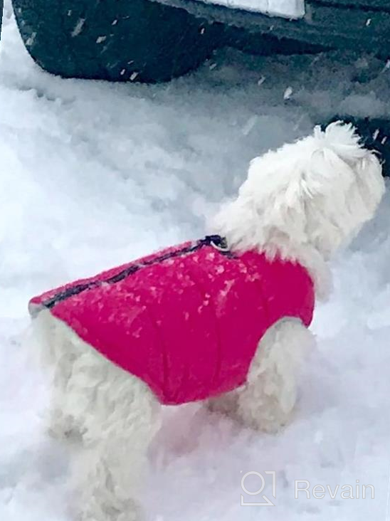 img 1 attached to Gooby Padded Vest Dog Jacket - Solid Pink, Medium - Warm Zip Up Dog Vest Fleece Jacket With Dual D Ring Leash - Water Resistant Small Dog Sweater - Dog Clothes For Small Dogs Boy And Medium Dogs review by Ryan Reiter