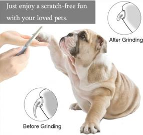 img 1 attached to Cos2Be Pet Nail Clippers With Safety Guard And Grinder - Perfect For Your Large Dog Or Cat'S Grooming Needs!