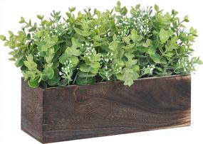 img 4 attached to Artificial Eucalyptus In Wood Box: Potted Faux Plants And Greenery For Windowsill Decor And Table Centerpiece - Funarty