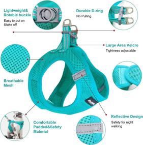 img 2 attached to Premium Cat Harness and Leash Set - Comfortable Dog Vest Harness, Reflective Strap, Ideal for Small Dogs and Kittens, Universal Fit with Durable D-Ring (S, M, L)