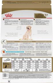 img 3 attached to Labrador Retriever Adult Dry Dog Food - Royal Canin Breed Health Nutrition
