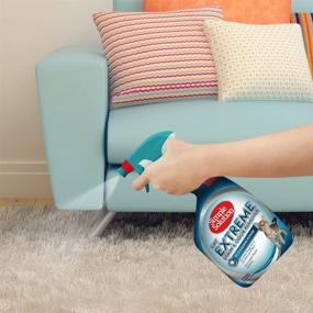 img 1 attached to Powerful Pro-Bacteria Cat Stain and Odor Remover: Tackle Tough Messes with Ease!