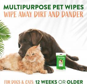 img 1 attached to TropiClean Papaya & Coconut Luxury 2-In-1 Pet Wipes, 20Ct - Wipes For Dogs & Cats - Gently Removes Dirt & Dander - For Pet Paws, Face, Body & Butt - Tropical Papaya & Coconut Scent