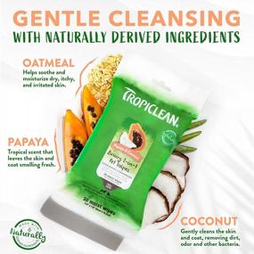 img 2 attached to TropiClean Papaya & Coconut Luxury 2-In-1 Pet Wipes, 20Ct - Wipes For Dogs & Cats - Gently Removes Dirt & Dander - For Pet Paws, Face, Body & Butt - Tropical Papaya & Coconut Scent