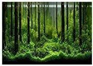 🐠 pvc fish tank background: transform your tank with underwater forest adhesive poster! logo