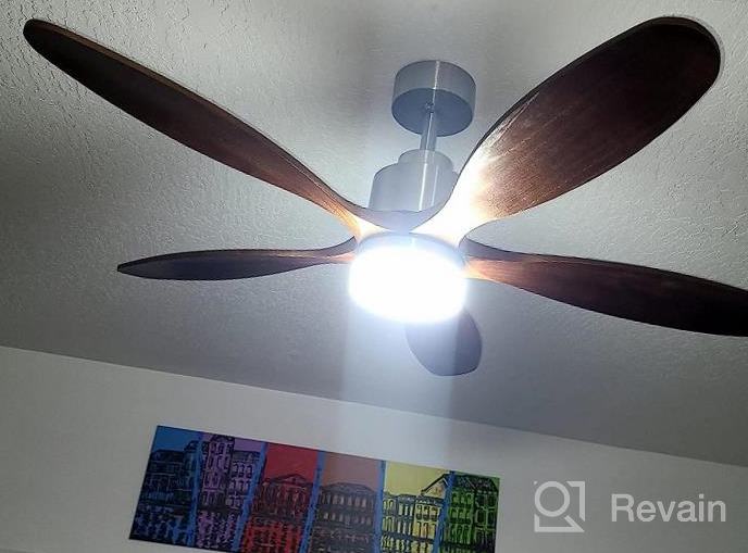 img 1 attached to Ensenior Ceiling Fan With Lights Remote Control, W1-1, 52 Inch, Black, DC Motor review by Corey Moulton