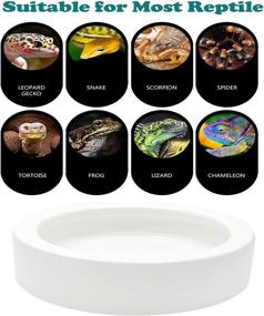 img 1 attached to 🐢 iHomeSet - 2 Pack Ceramic Reptile Food Bowls | Water Feeder Anti-Escape Mini Reptile Feeders for Lizard, Gecko, and More | Round White 4 Ounce Capacity